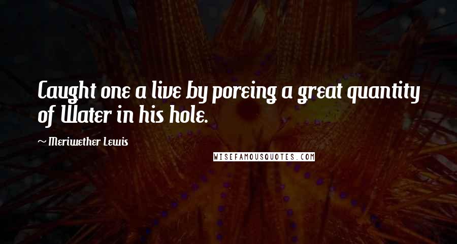 Meriwether Lewis Quotes: Caught one a live by poreing a great quantity of Water in his hole.