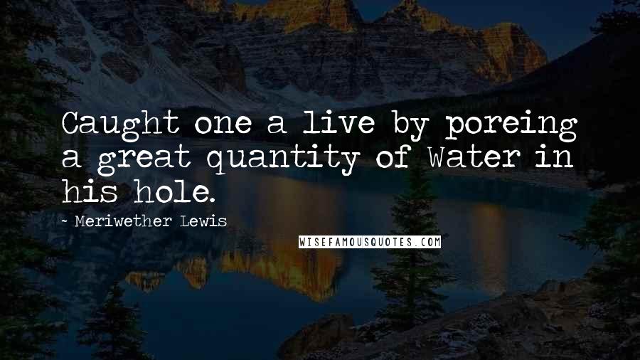 Meriwether Lewis Quotes: Caught one a live by poreing a great quantity of Water in his hole.