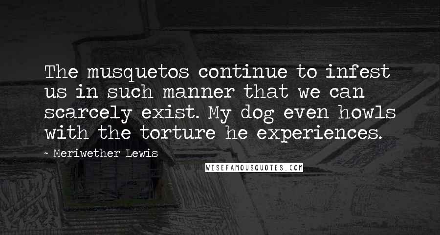 Meriwether Lewis Quotes: The musquetos continue to infest us in such manner that we can scarcely exist. My dog even howls with the torture he experiences.