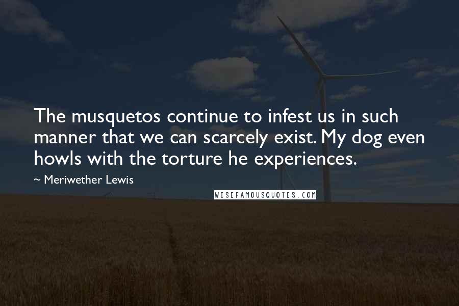 Meriwether Lewis Quotes: The musquetos continue to infest us in such manner that we can scarcely exist. My dog even howls with the torture he experiences.
