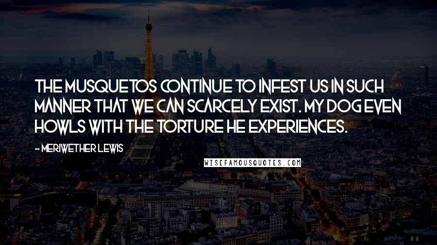 Meriwether Lewis Quotes: The musquetos continue to infest us in such manner that we can scarcely exist. My dog even howls with the torture he experiences.