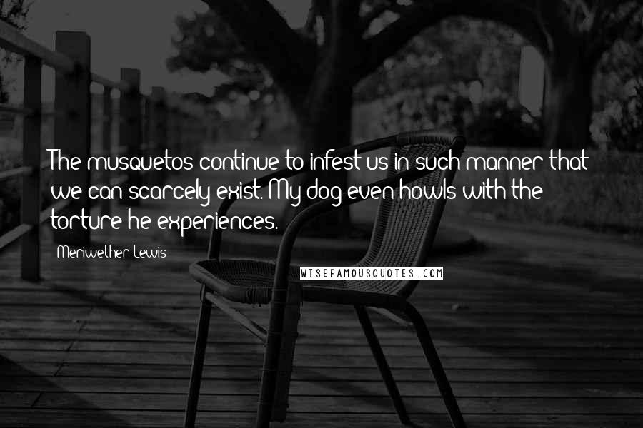 Meriwether Lewis Quotes: The musquetos continue to infest us in such manner that we can scarcely exist. My dog even howls with the torture he experiences.