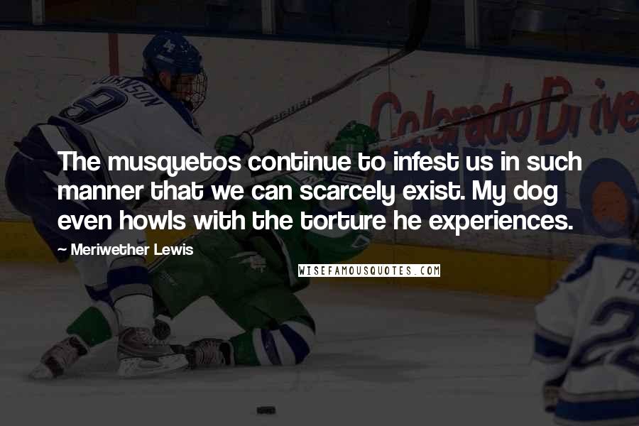 Meriwether Lewis Quotes: The musquetos continue to infest us in such manner that we can scarcely exist. My dog even howls with the torture he experiences.