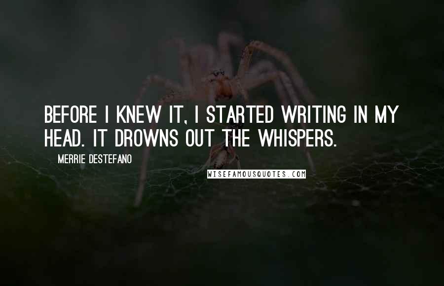 Merrie Destefano Quotes: before I knew it, I started writing in my head. It drowns out the whispers.