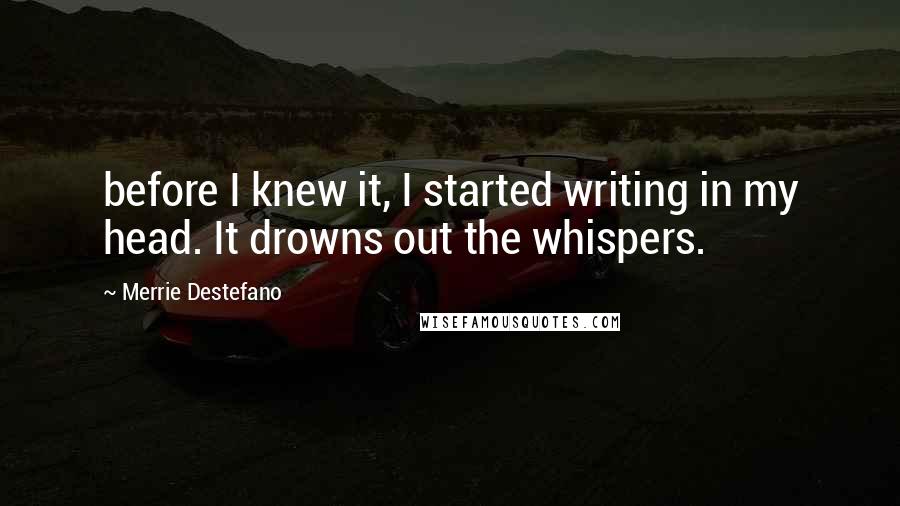 Merrie Destefano Quotes: before I knew it, I started writing in my head. It drowns out the whispers.