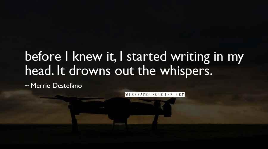Merrie Destefano Quotes: before I knew it, I started writing in my head. It drowns out the whispers.