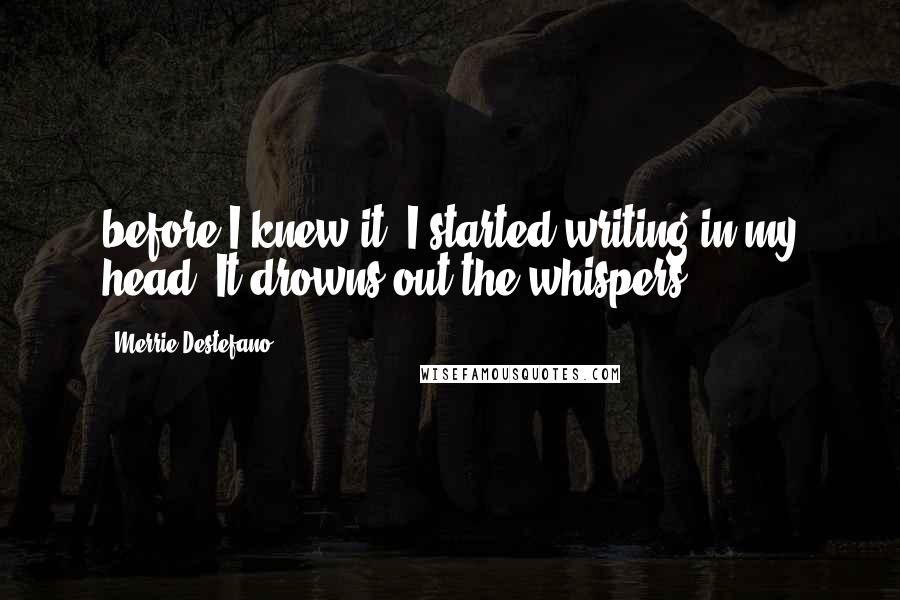 Merrie Destefano Quotes: before I knew it, I started writing in my head. It drowns out the whispers.