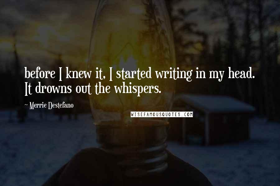 Merrie Destefano Quotes: before I knew it, I started writing in my head. It drowns out the whispers.