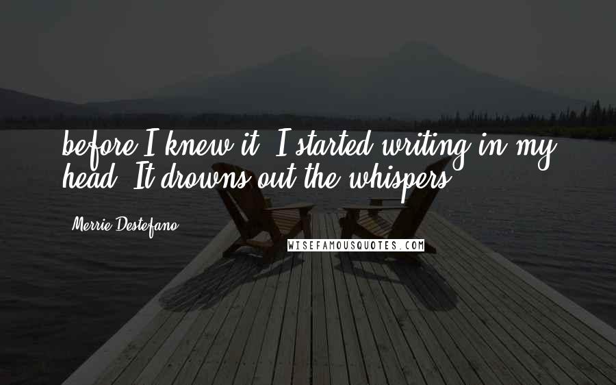 Merrie Destefano Quotes: before I knew it, I started writing in my head. It drowns out the whispers.