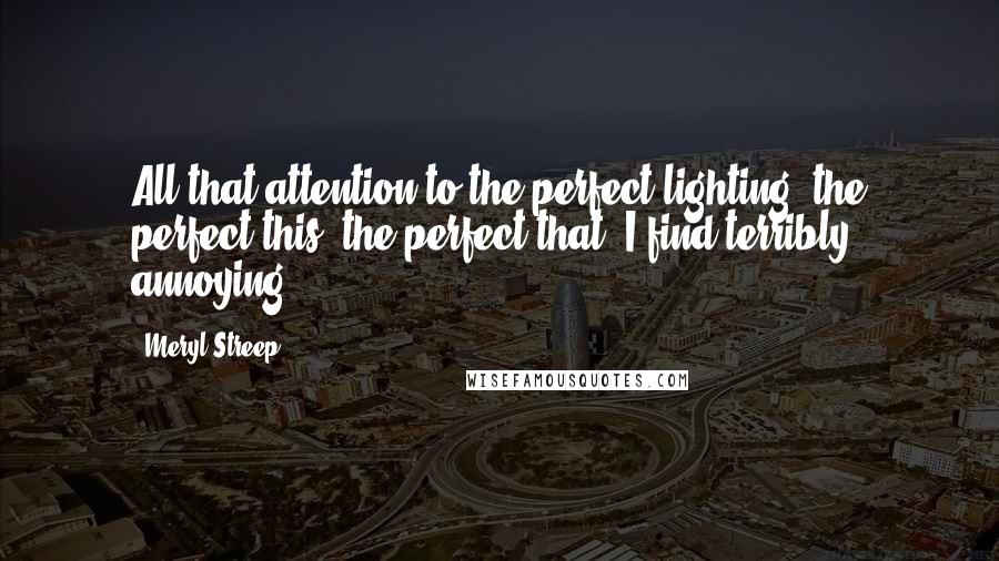 Meryl Streep Quotes: All that attention to the perfect lighting, the perfect this, the perfect that, I find terribly annoying.
