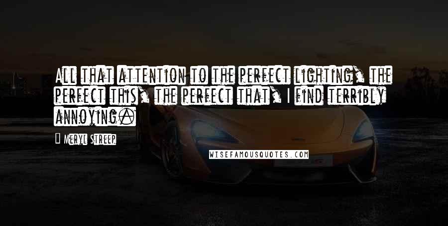 Meryl Streep Quotes: All that attention to the perfect lighting, the perfect this, the perfect that, I find terribly annoying.