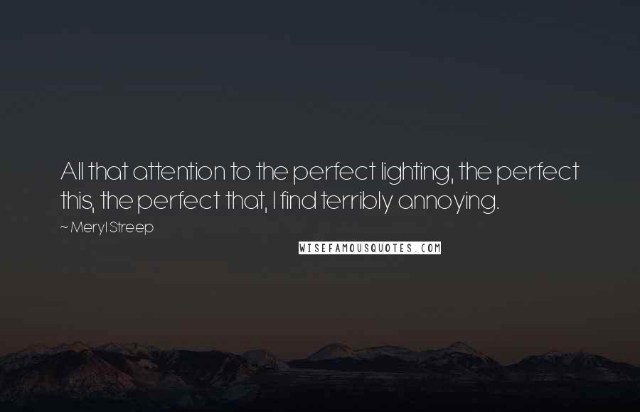 Meryl Streep Quotes: All that attention to the perfect lighting, the perfect this, the perfect that, I find terribly annoying.