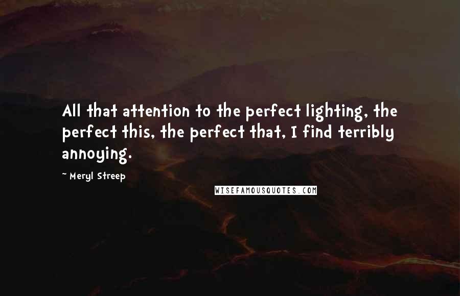 Meryl Streep Quotes: All that attention to the perfect lighting, the perfect this, the perfect that, I find terribly annoying.