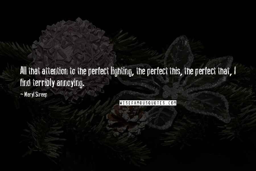Meryl Streep Quotes: All that attention to the perfect lighting, the perfect this, the perfect that, I find terribly annoying.