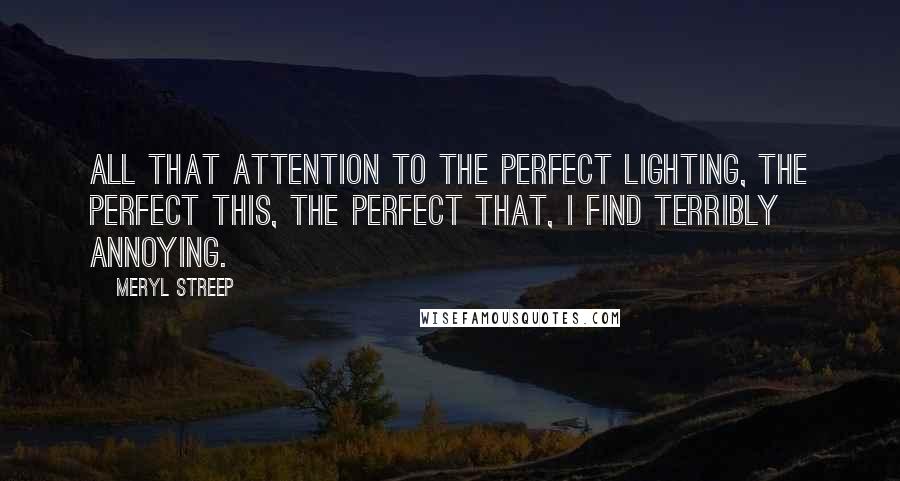 Meryl Streep Quotes: All that attention to the perfect lighting, the perfect this, the perfect that, I find terribly annoying.