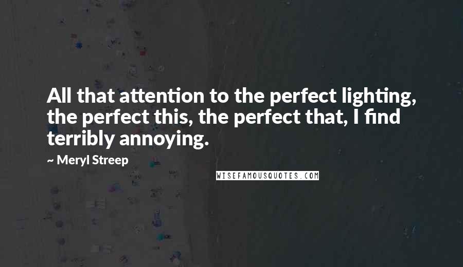 Meryl Streep Quotes: All that attention to the perfect lighting, the perfect this, the perfect that, I find terribly annoying.