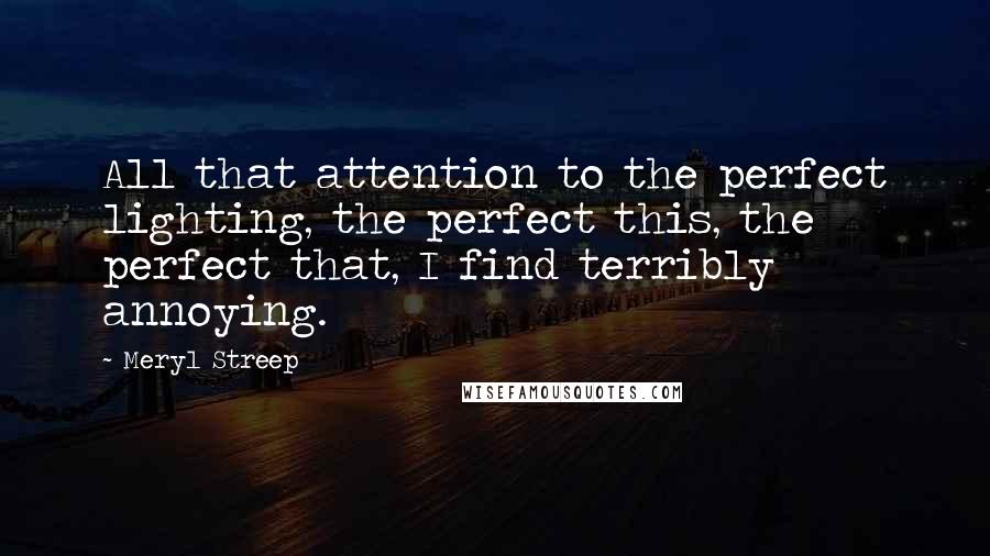 Meryl Streep Quotes: All that attention to the perfect lighting, the perfect this, the perfect that, I find terribly annoying.
