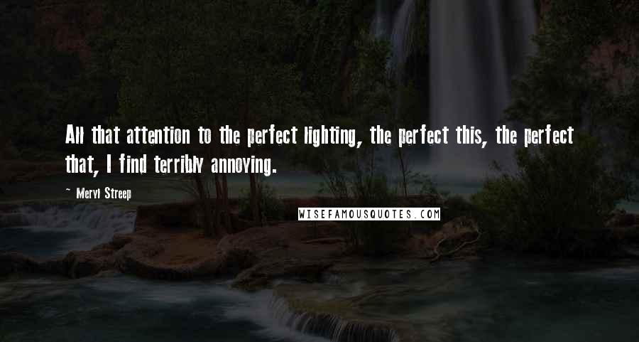 Meryl Streep Quotes: All that attention to the perfect lighting, the perfect this, the perfect that, I find terribly annoying.