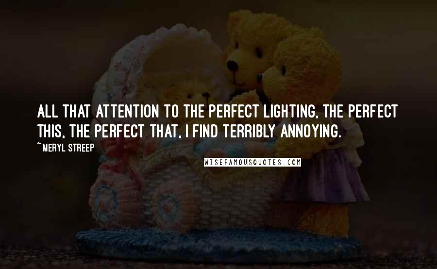Meryl Streep Quotes: All that attention to the perfect lighting, the perfect this, the perfect that, I find terribly annoying.