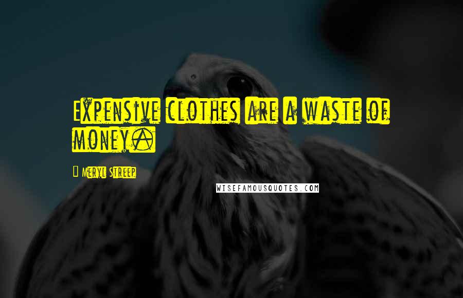 Meryl Streep Quotes: Expensive clothes are a waste of money.