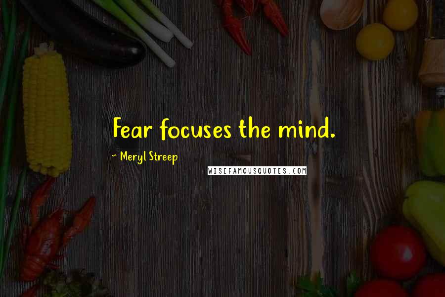 Meryl Streep Quotes: Fear focuses the mind.