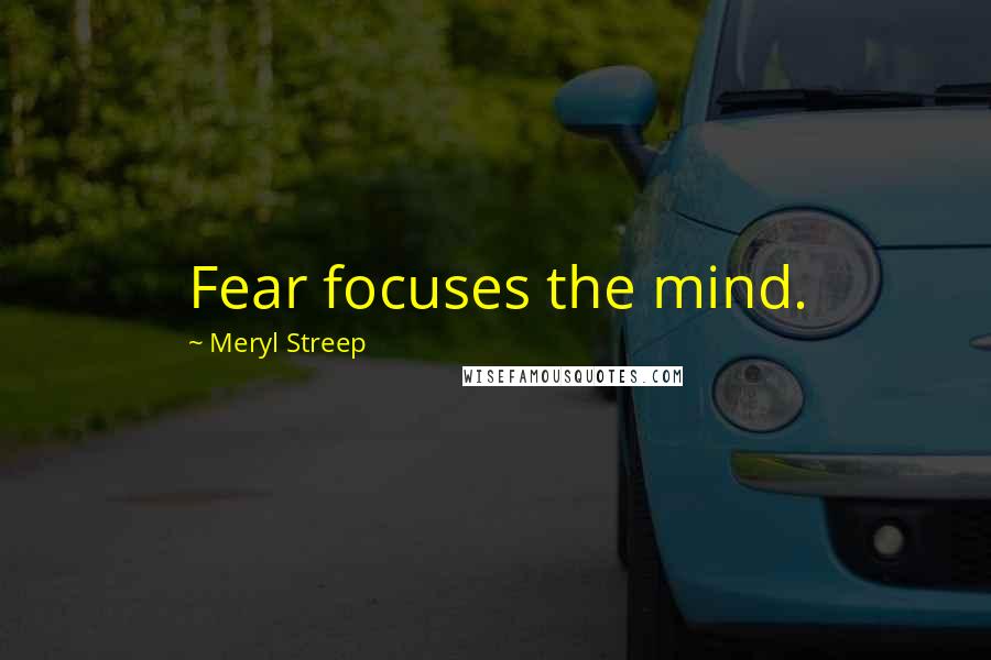 Meryl Streep Quotes: Fear focuses the mind.