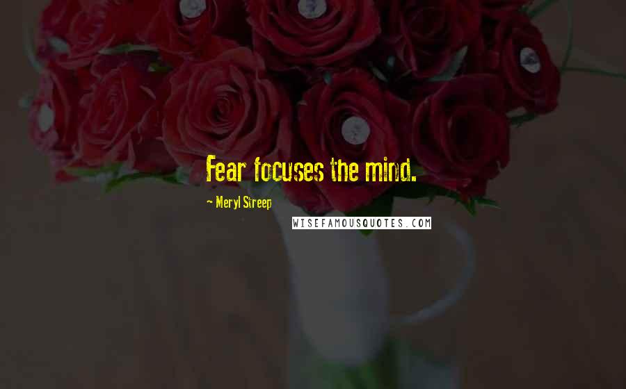 Meryl Streep Quotes: Fear focuses the mind.