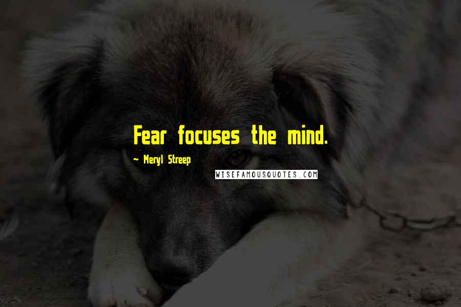 Meryl Streep Quotes: Fear focuses the mind.