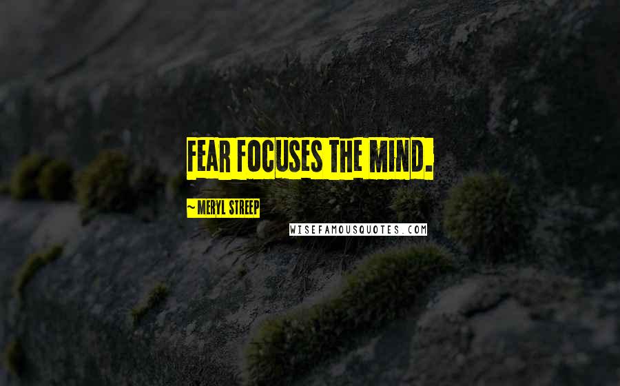 Meryl Streep Quotes: Fear focuses the mind.