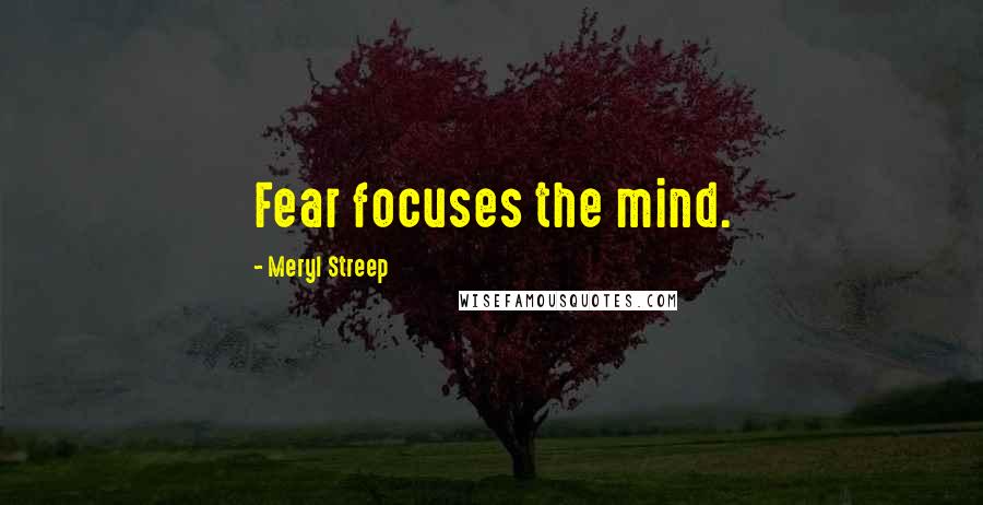 Meryl Streep Quotes: Fear focuses the mind.
