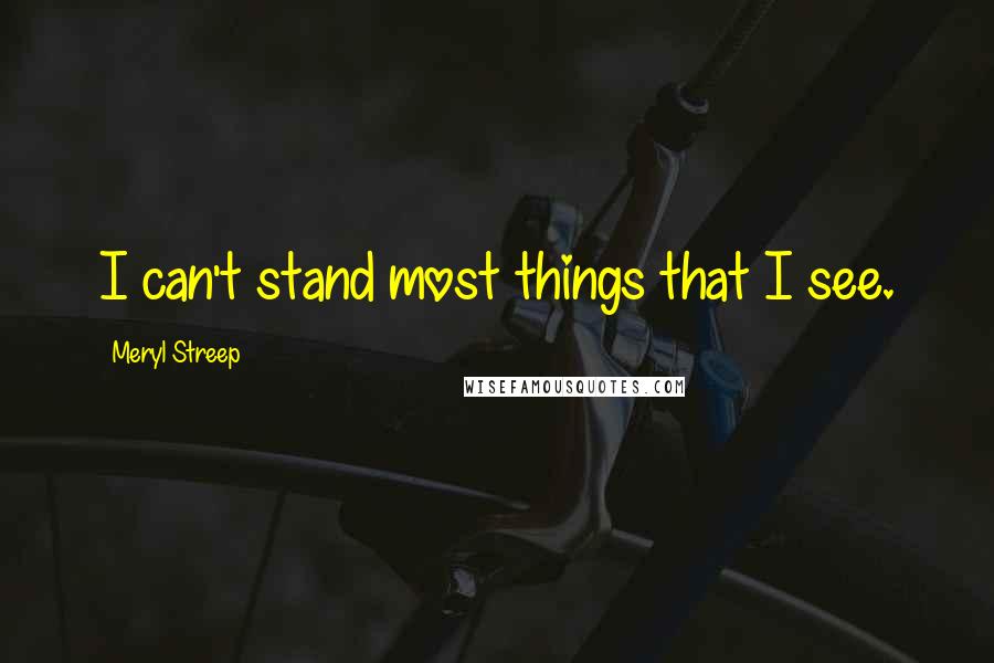 Meryl Streep Quotes: I can't stand most things that I see.