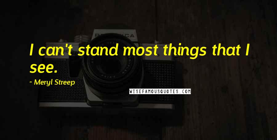 Meryl Streep Quotes: I can't stand most things that I see.