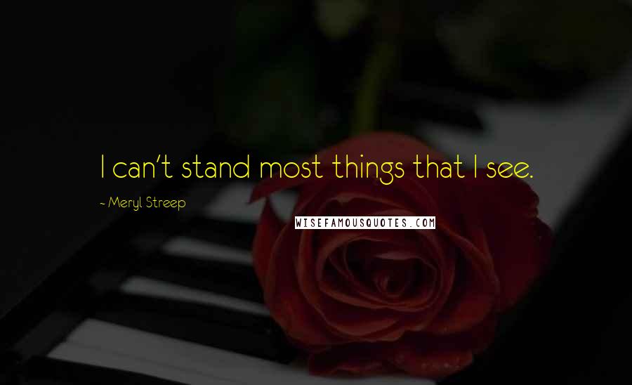 Meryl Streep Quotes: I can't stand most things that I see.