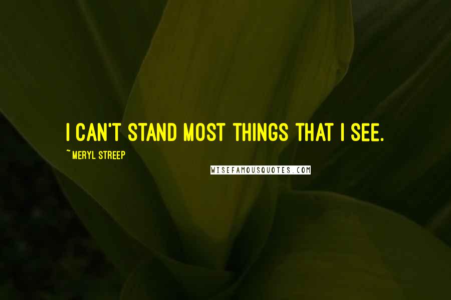 Meryl Streep Quotes: I can't stand most things that I see.