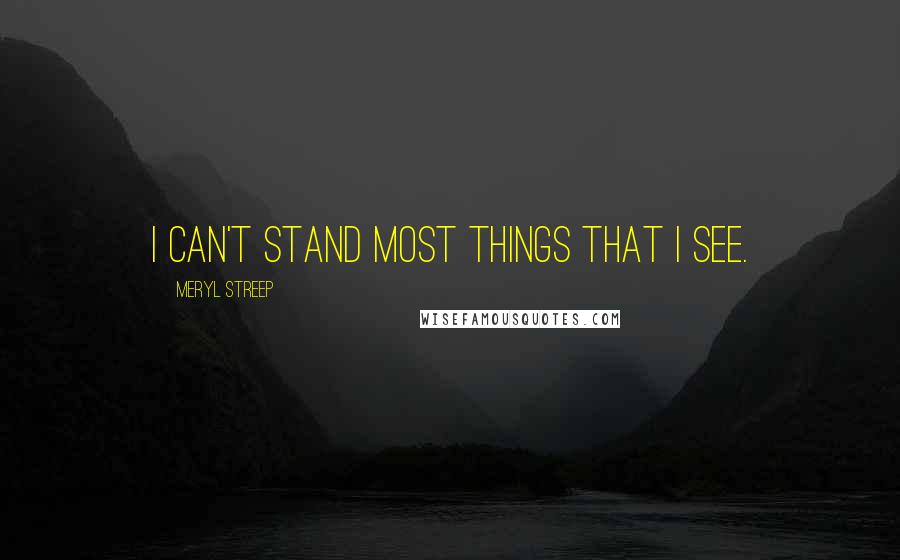 Meryl Streep Quotes: I can't stand most things that I see.