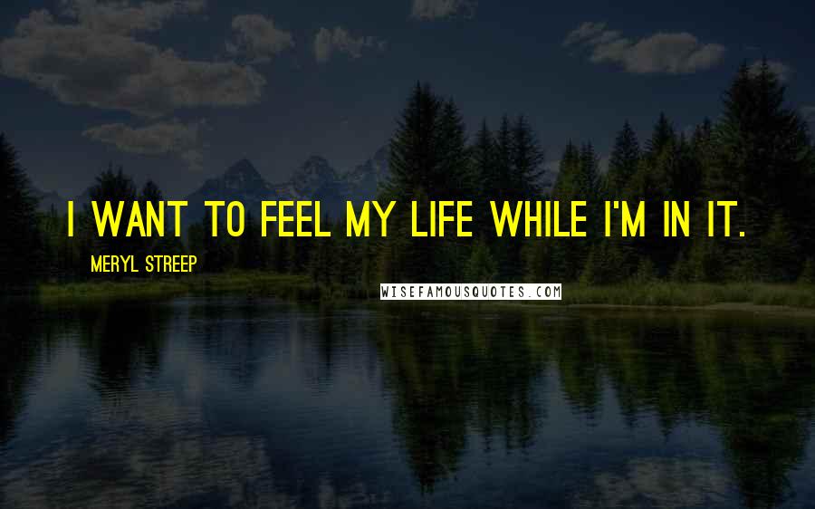 Meryl Streep Quotes: I want to feel my life while I'm in it.