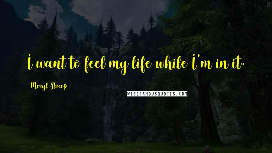 Meryl Streep Quotes: I want to feel my life while I'm in it.