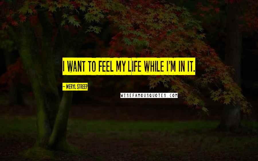 Meryl Streep Quotes: I want to feel my life while I'm in it.