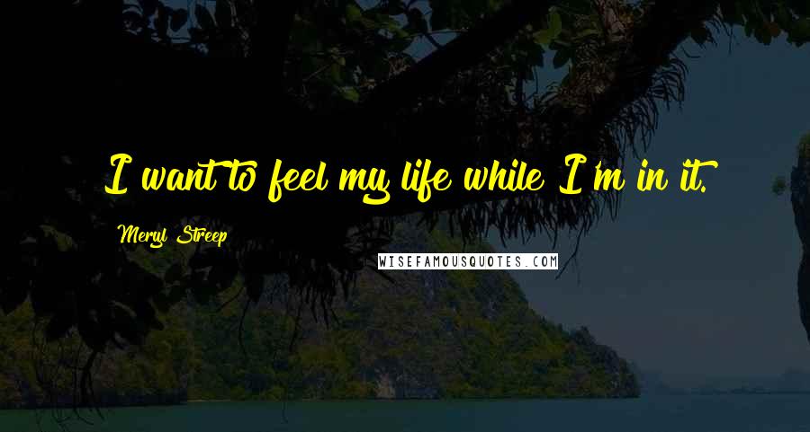 Meryl Streep Quotes: I want to feel my life while I'm in it.