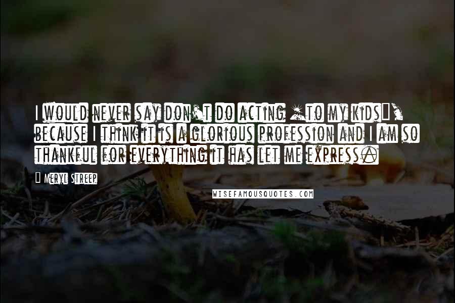 Meryl Streep Quotes: I would never say don't do acting [to my kids], because I think it is a glorious profession and I am so thankful for everything it has let me express.