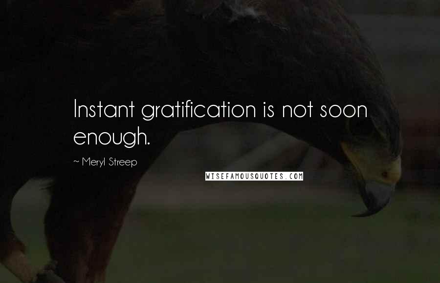 Meryl Streep Quotes: Instant gratification is not soon enough.