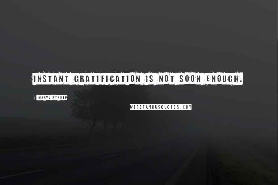 Meryl Streep Quotes: Instant gratification is not soon enough.