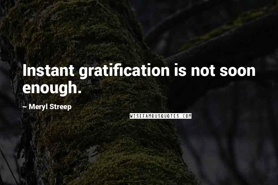 Meryl Streep Quotes: Instant gratification is not soon enough.