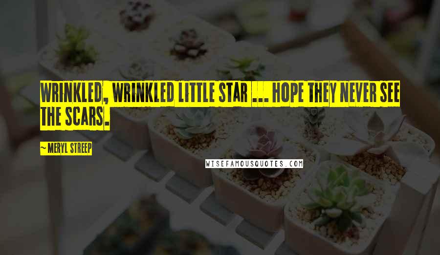 Meryl Streep Quotes: Wrinkled, wrinkled little star ... hope they never see the scars.