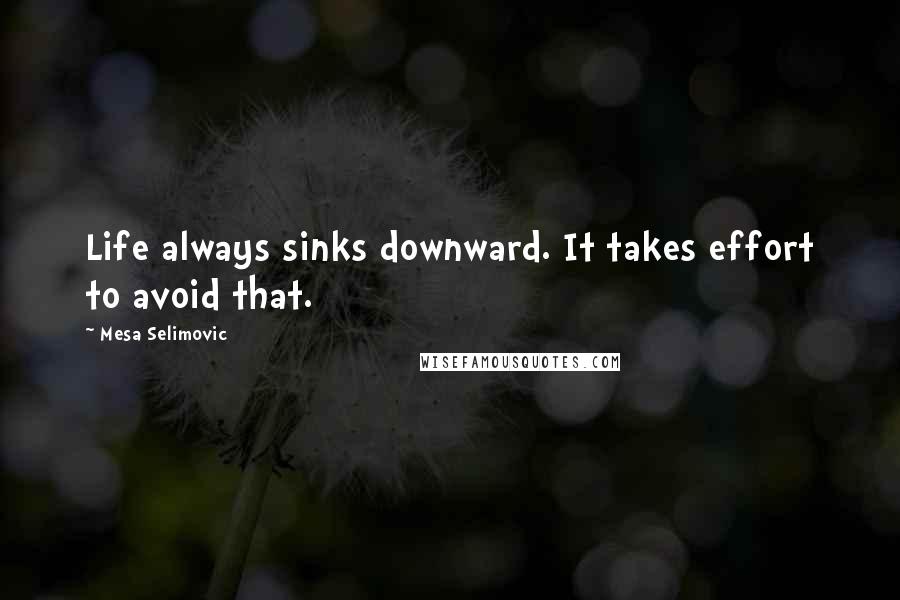 Mesa Selimovic Quotes: Life always sinks downward. It takes effort to avoid that.