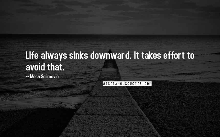 Mesa Selimovic Quotes: Life always sinks downward. It takes effort to avoid that.