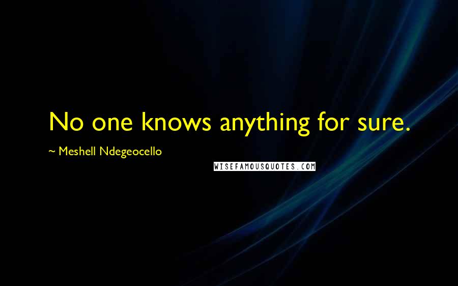 Meshell Ndegeocello Quotes: No one knows anything for sure.