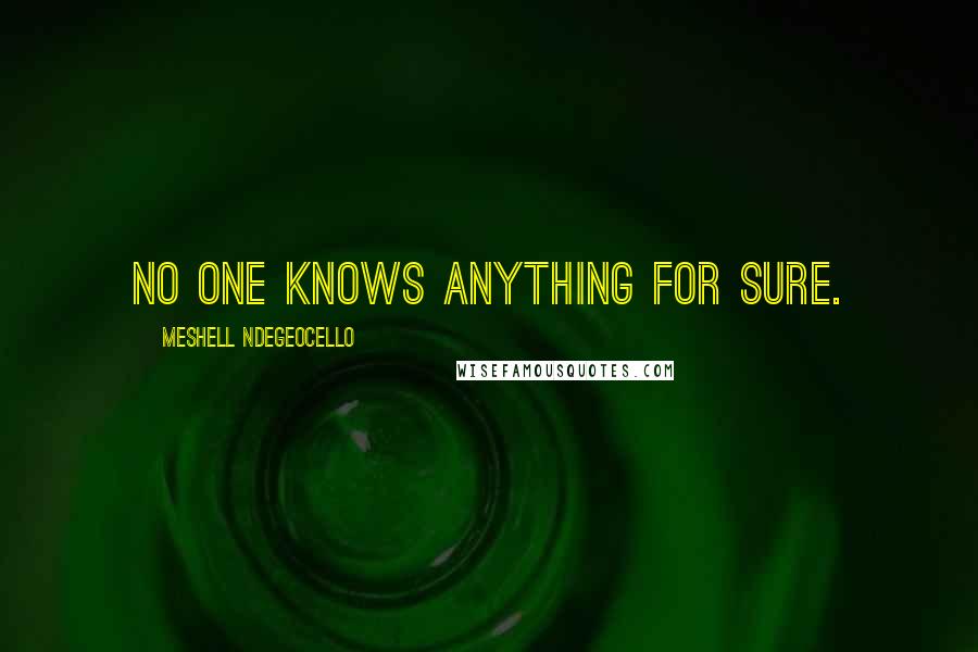 Meshell Ndegeocello Quotes: No one knows anything for sure.