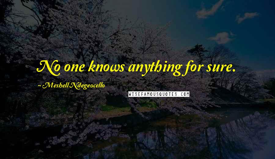 Meshell Ndegeocello Quotes: No one knows anything for sure.