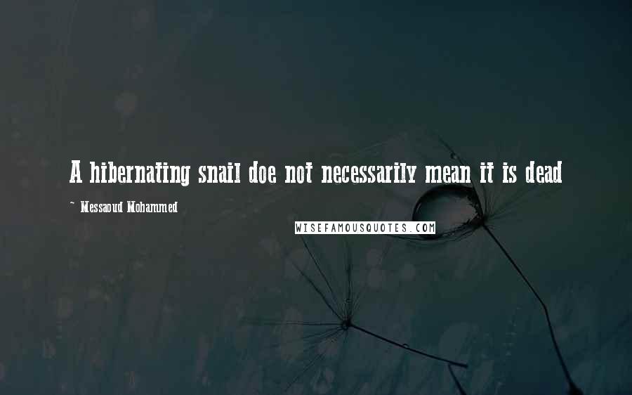 Messaoud Mohammed Quotes: A hibernating snail doe not necessarily mean it is dead